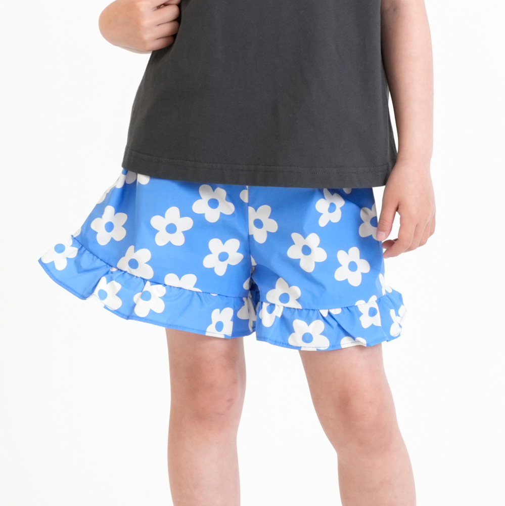 ブルーデイジー