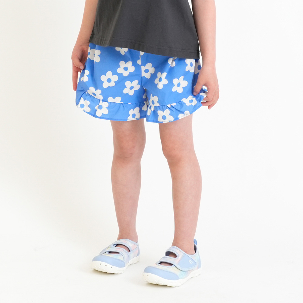 ブルーデイジー