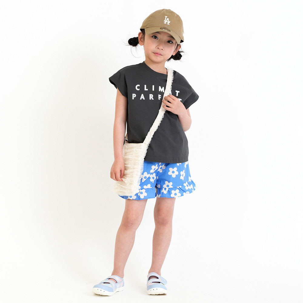 ブルーデイジー