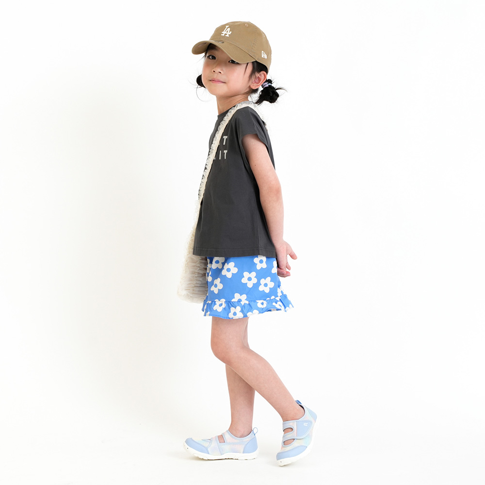 ブルーデイジー