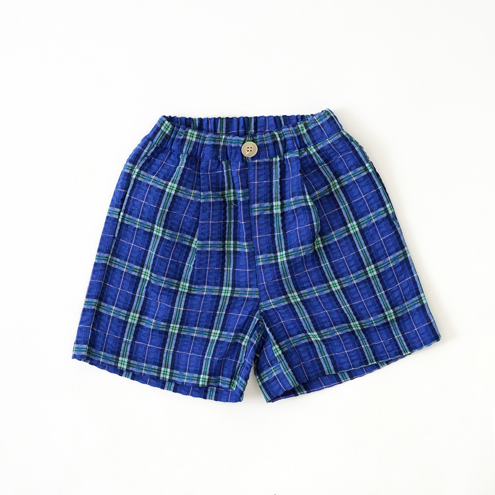 ネイビーチェック