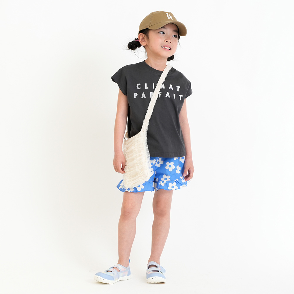 ブルーデイジー