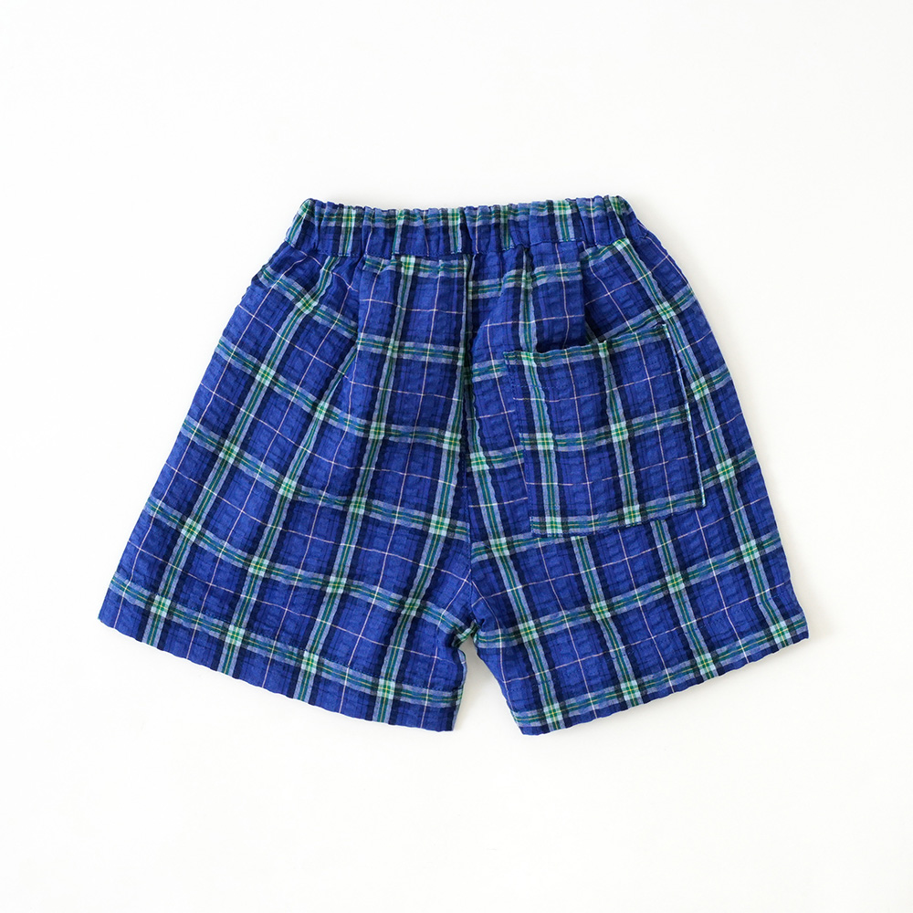 ネイビーチェック