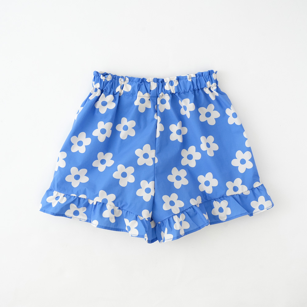 ブルーデイジー