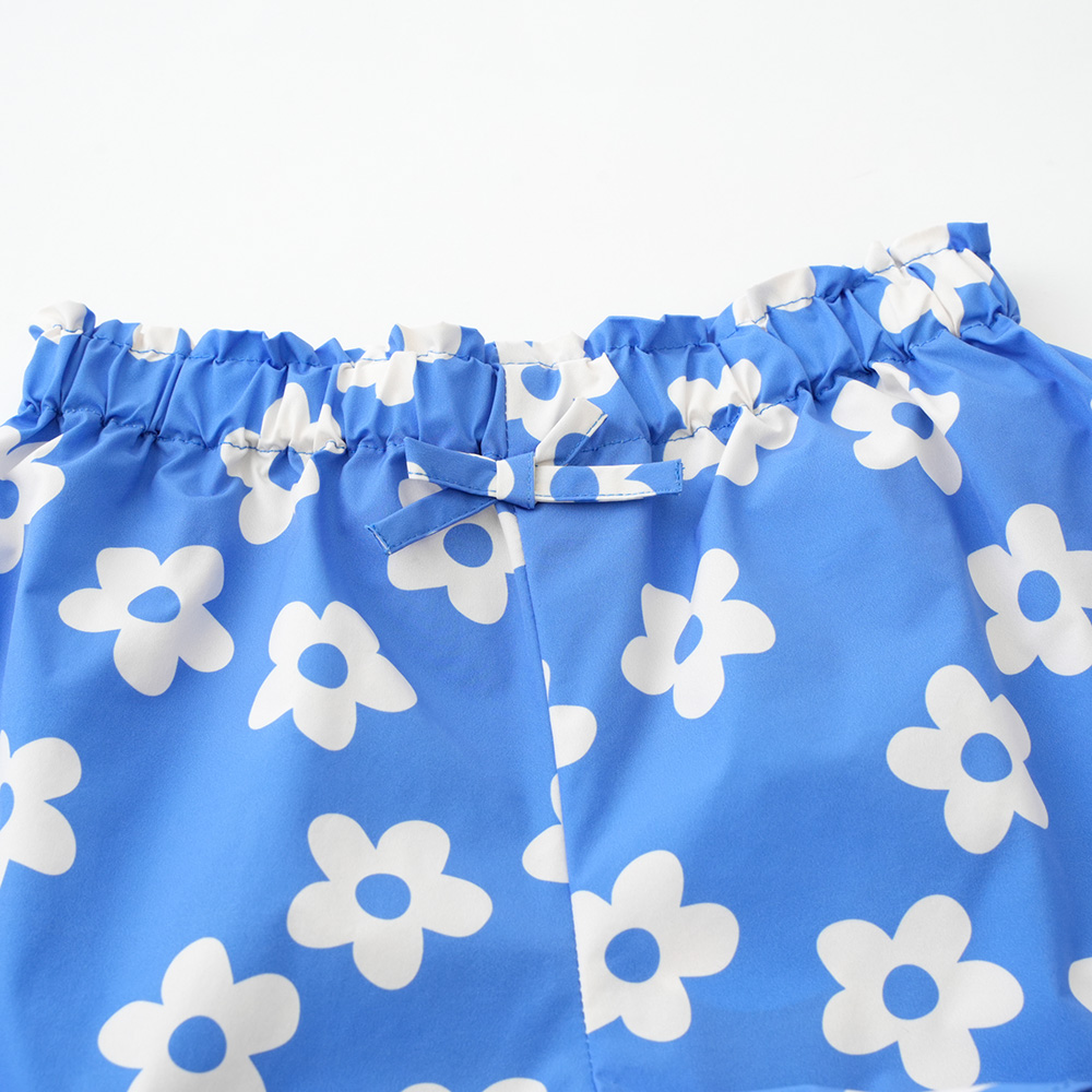 ブルーデイジー