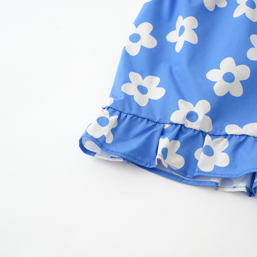 ブルーデイジー