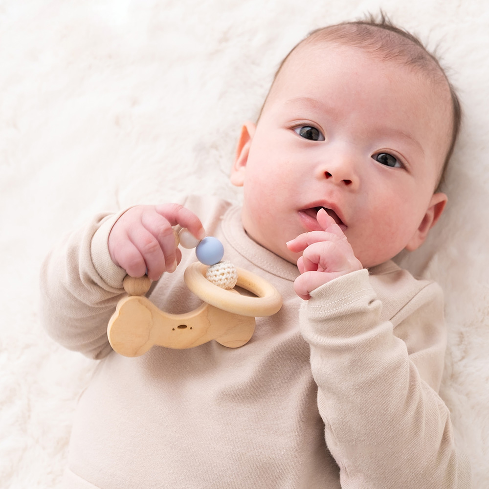 どうぶつ歯固めTOY