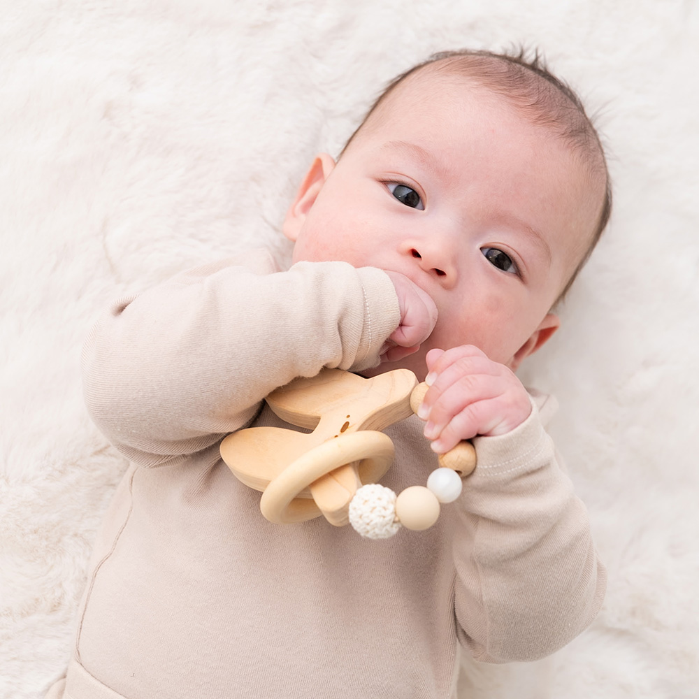 どうぶつ歯固めTOY